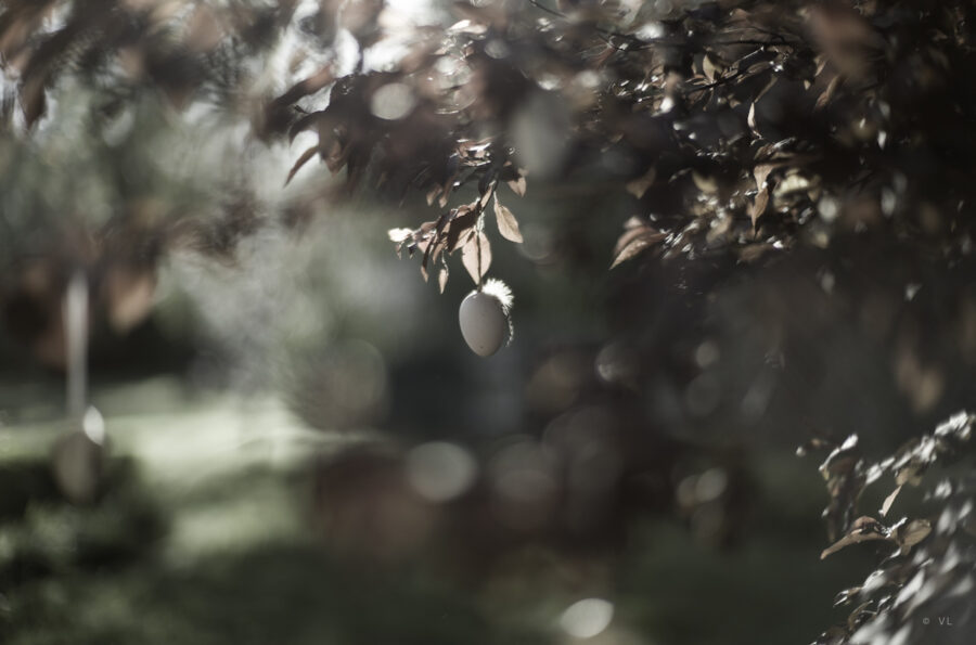 Frohe Ostern. Kellemes húsvéti ünnepeket. Happy Easter. - Balaton